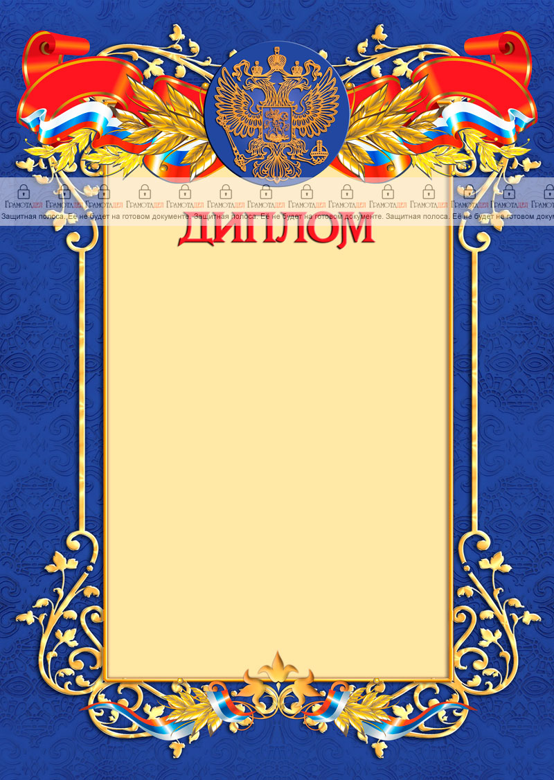 Шаблон официального диплома №11