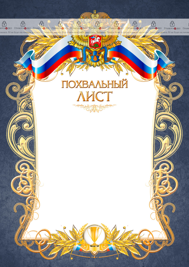 Шаблон похвального листа № 12