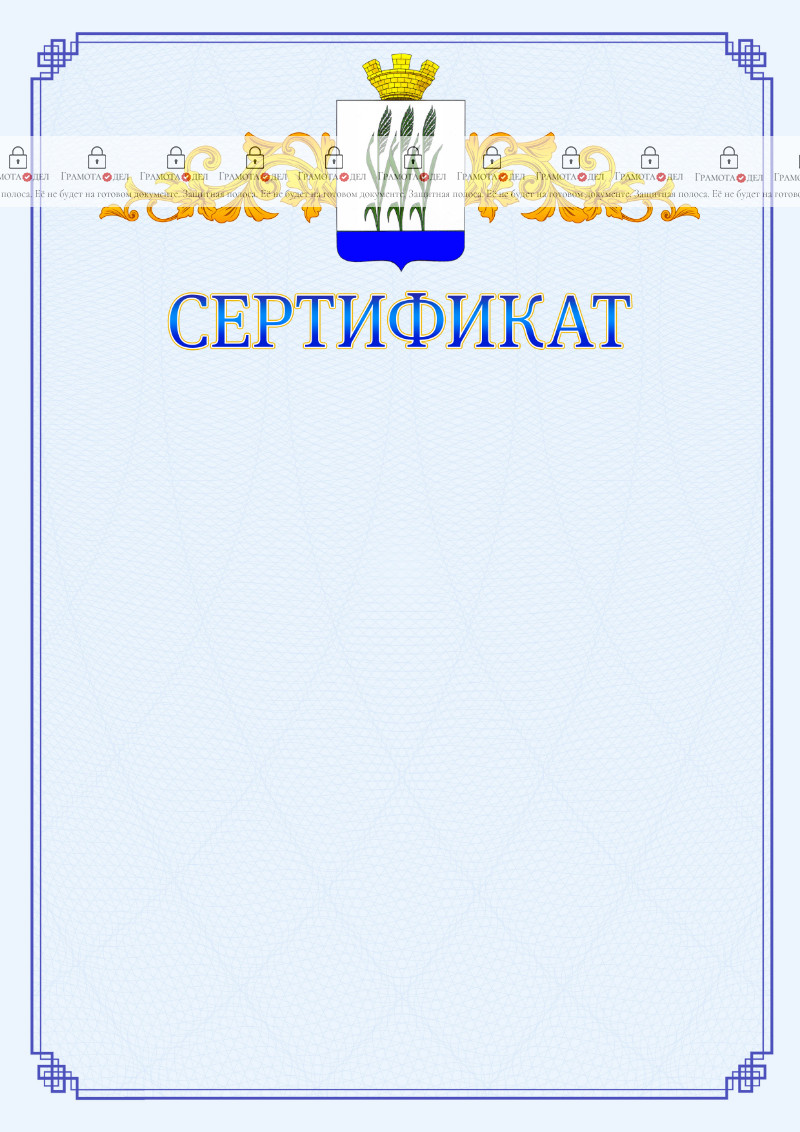 Шаблон официального сертификата №15 c гербом Камышина