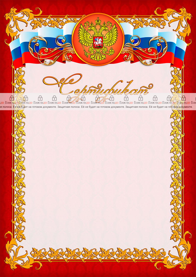 Шаблон официального сертификата №8